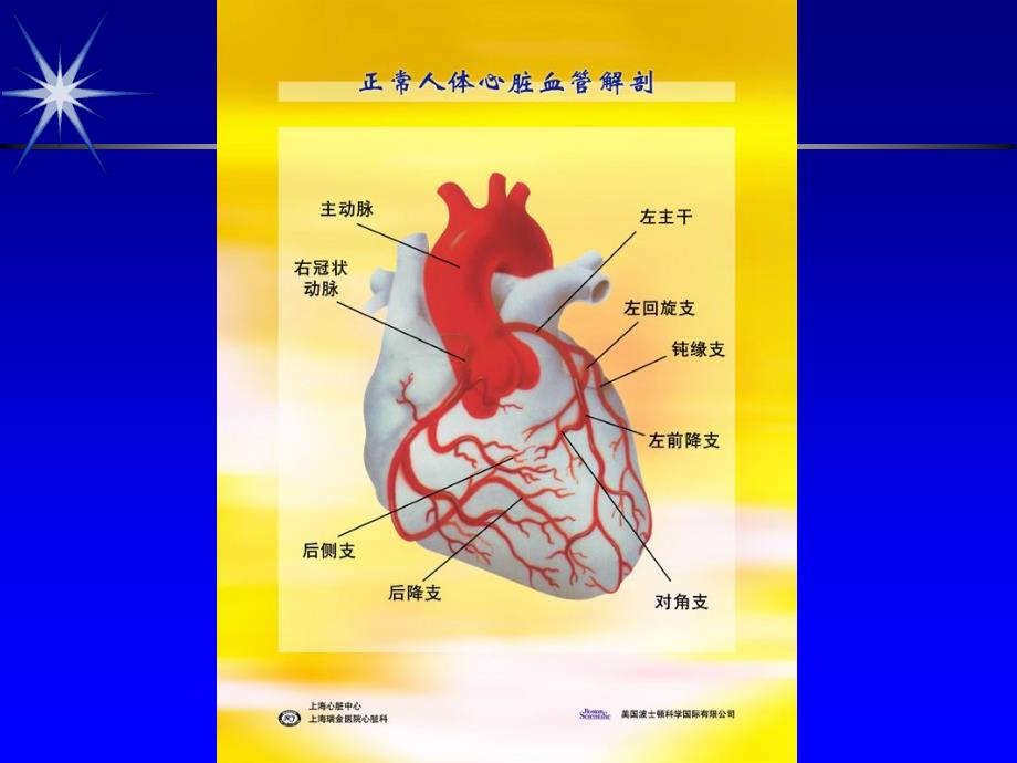 冠状动脉粥样硬化性心脏病比赛_第3页