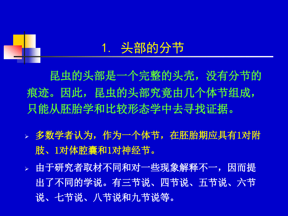 六章昆虫的头部及颈部_第3页