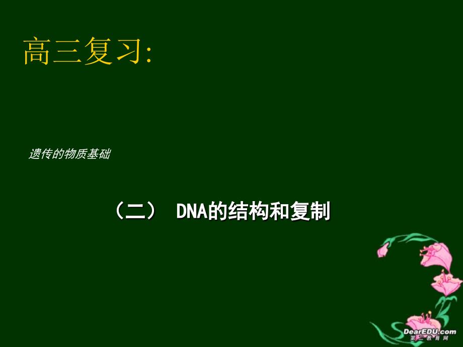 DNA结构和复制_第1页