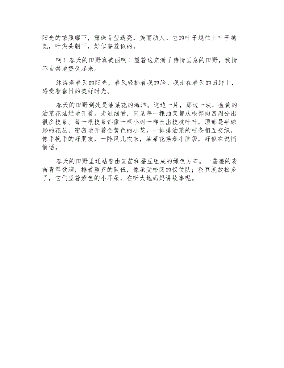 四年级春天的田野作文300字合集10篇_第4页