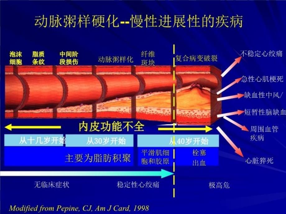 最新动脉粥样硬化与他汀治疗ppt课件PPT课件_第3页