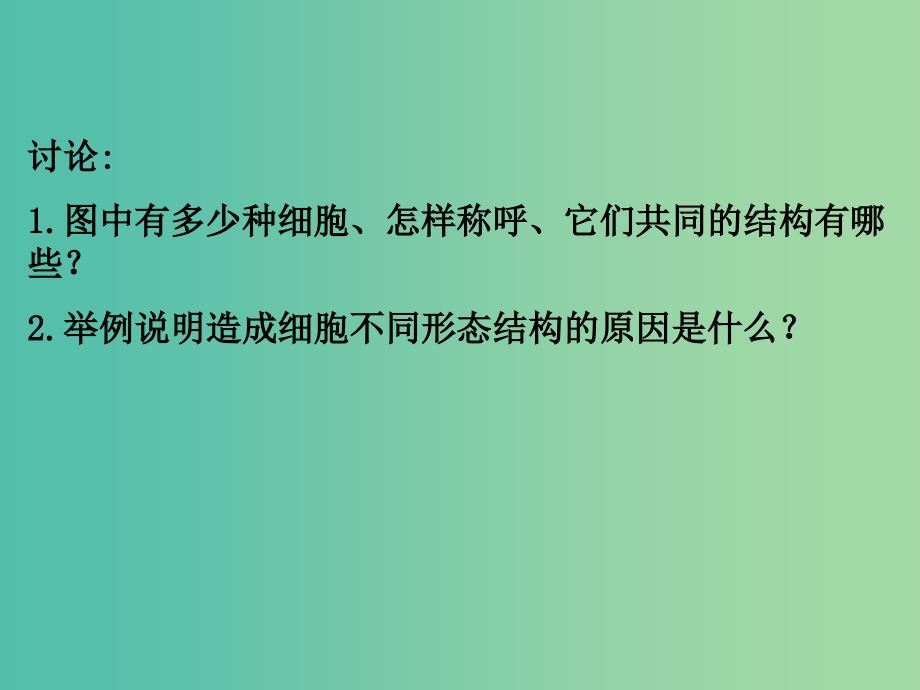 云南省峨山彝族自治县高中生物 第一章 走近细胞 1.2 细胞的多样性和统一性课件1 新人教版必修1.ppt_第4页