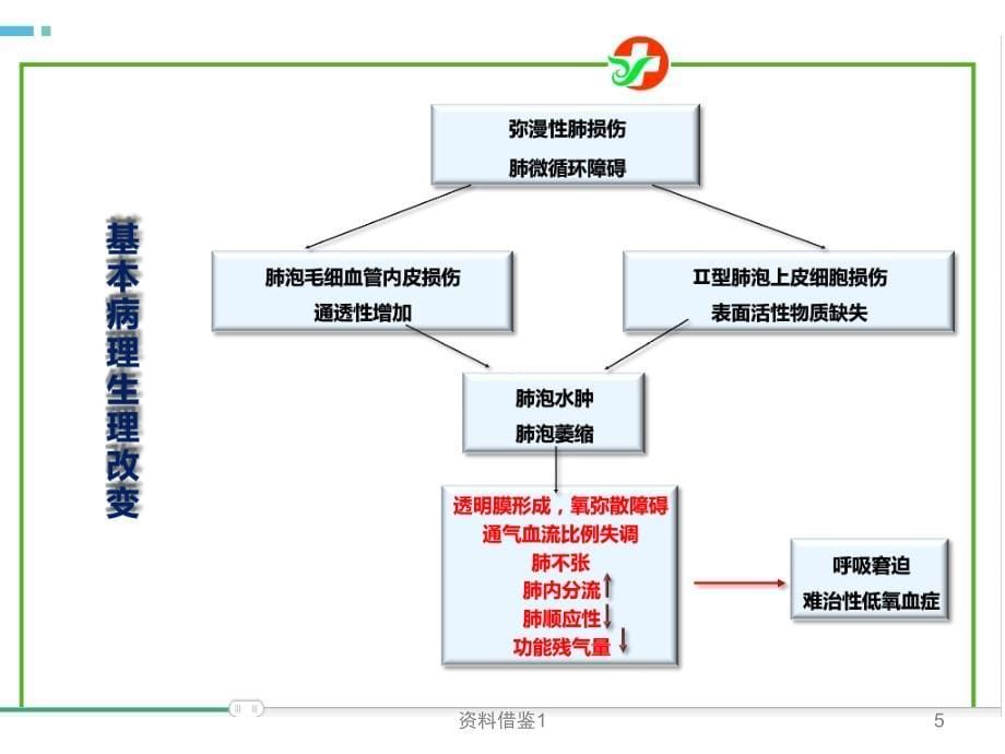 急性呼吸窘迫综合征(ARDS)（行业荟萃）_第5页