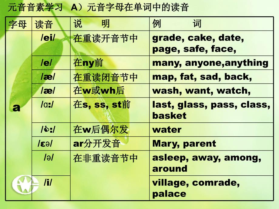 字母极其组合在单词中的发音课件_第3页