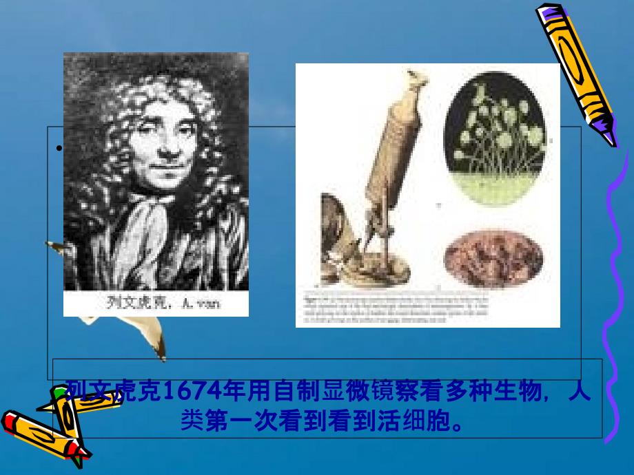 北师大版高中生物必修一1.1细胞学说的建立优质14张ppt课件_第4页