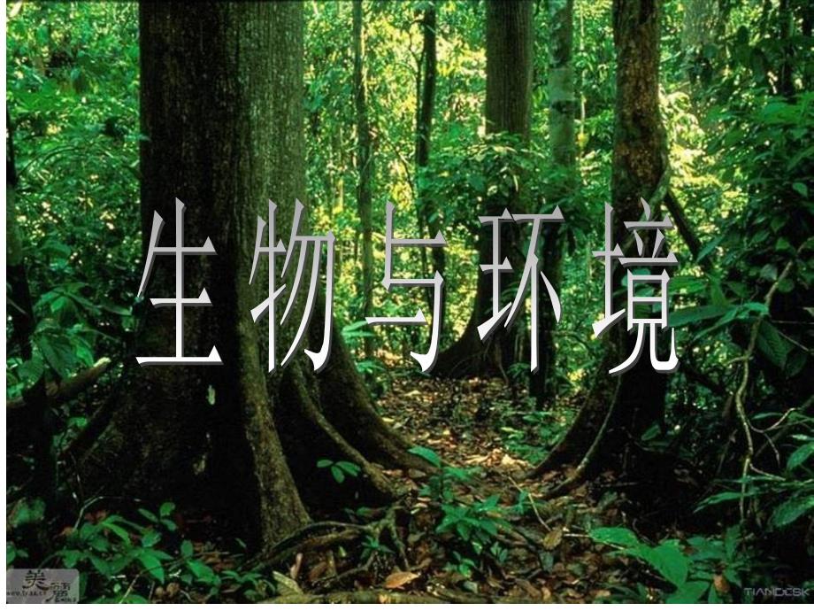 八年级生物下第六单元第一章第一节生态系统的组成课件济南版_第1页