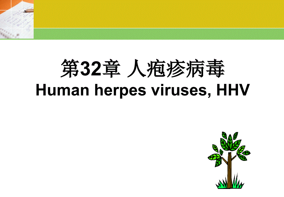 微生物32章 疱疹病毒_第1页