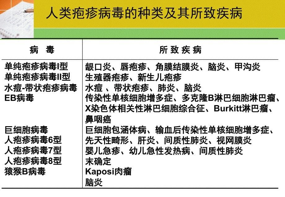 微生物32章 疱疹病毒_第5页