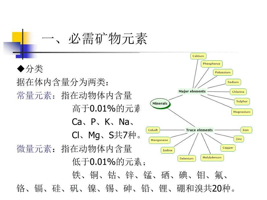 宠物的矿物质营养ppt课件_第4页