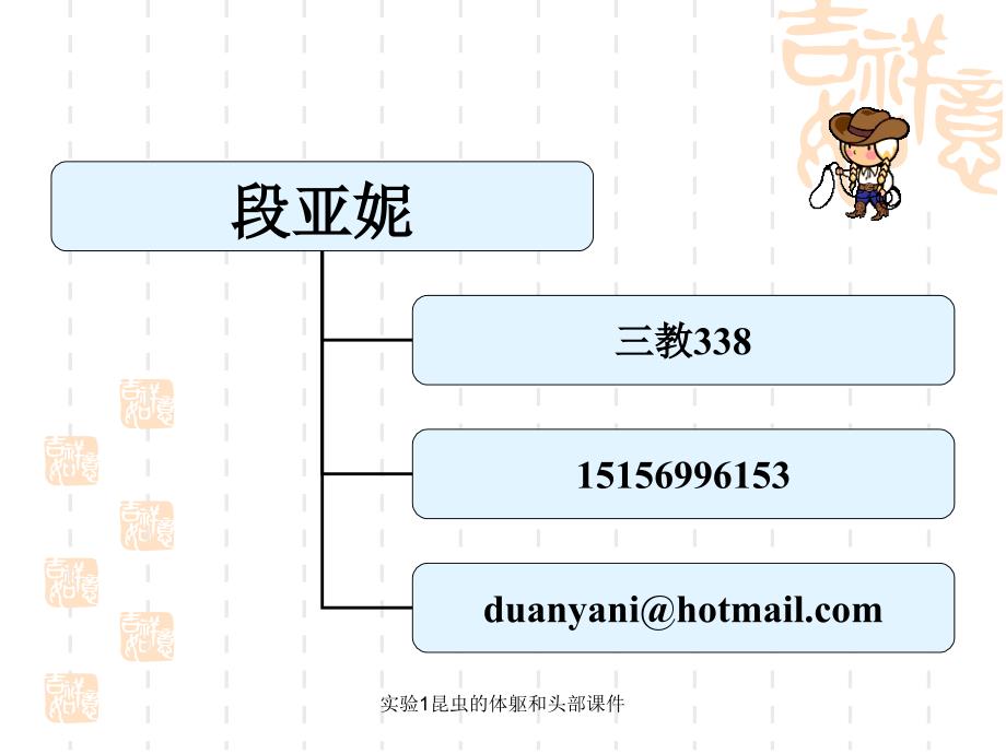 实验1昆虫的体躯和头部课件_第1页