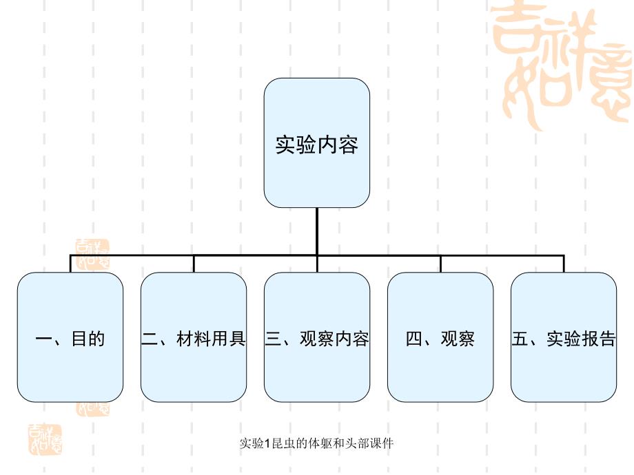 实验1昆虫的体躯和头部课件_第2页