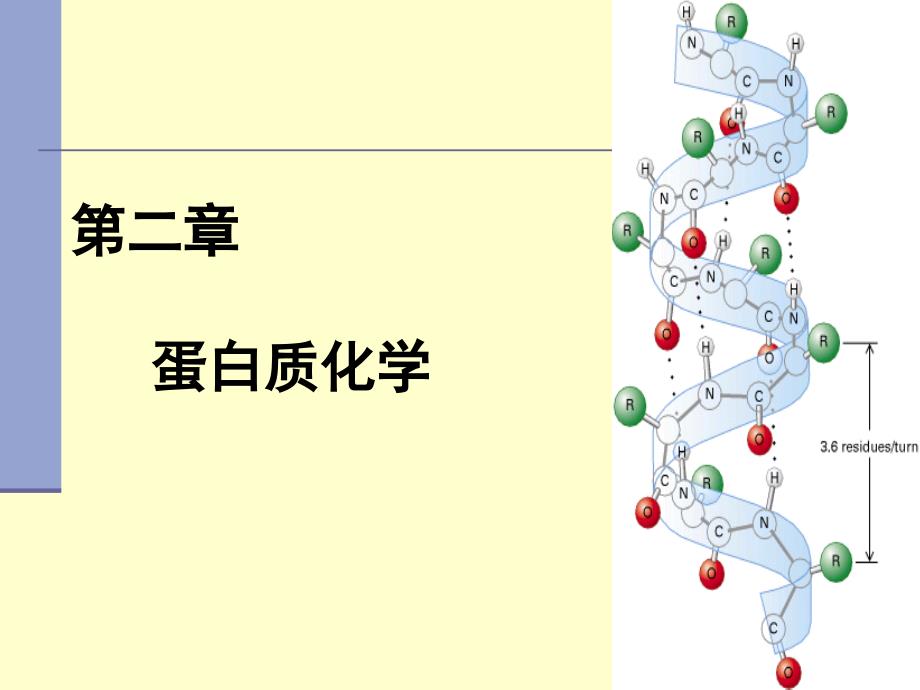 第2章 蛋白质_第1页