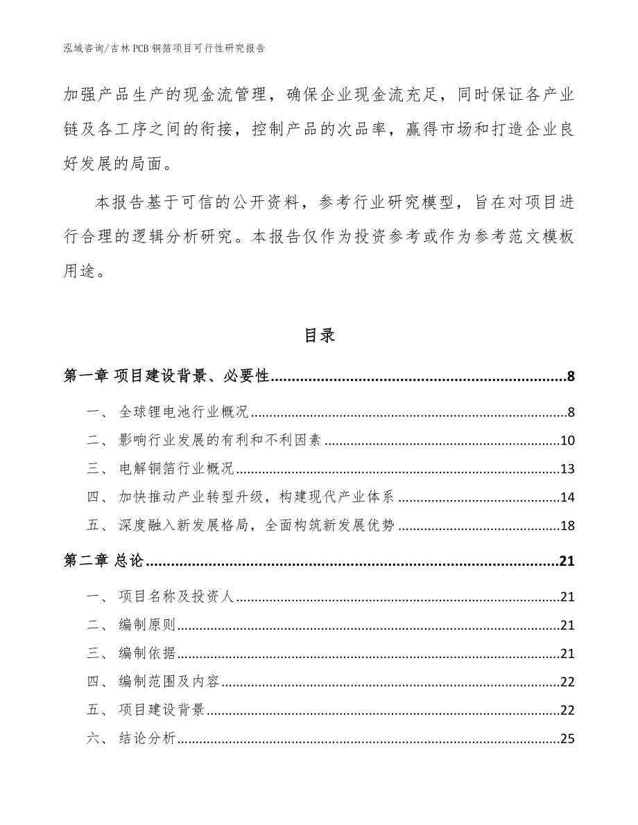 吉林PCB铜箔项目可行性研究报告_参考模板_第2页