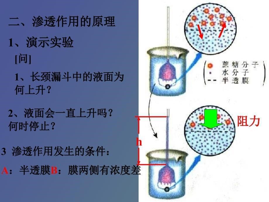 水代谢和矿质营养_第5页