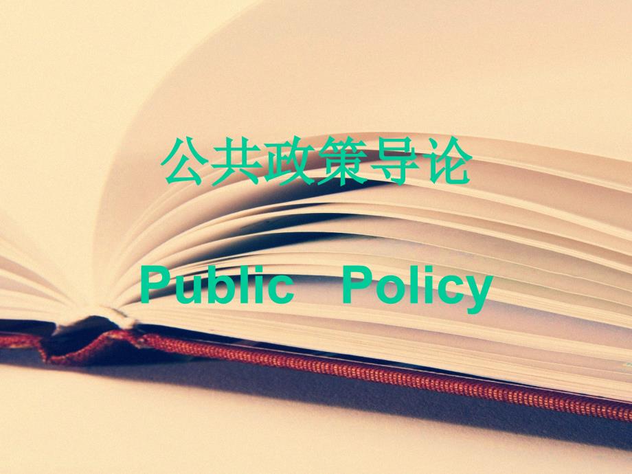 公共政策导论PublicPolicy_第1页