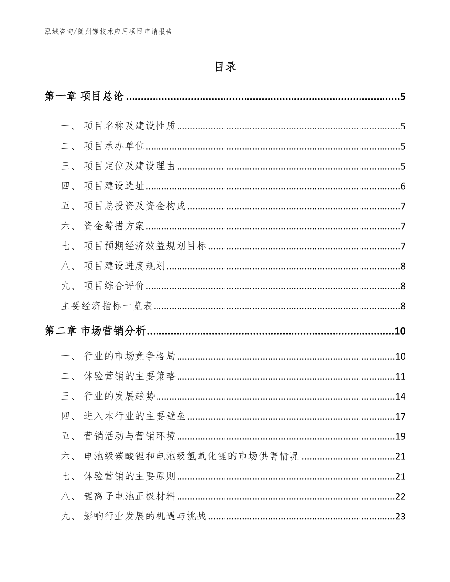 随州锂技术应用项目申请报告_第1页