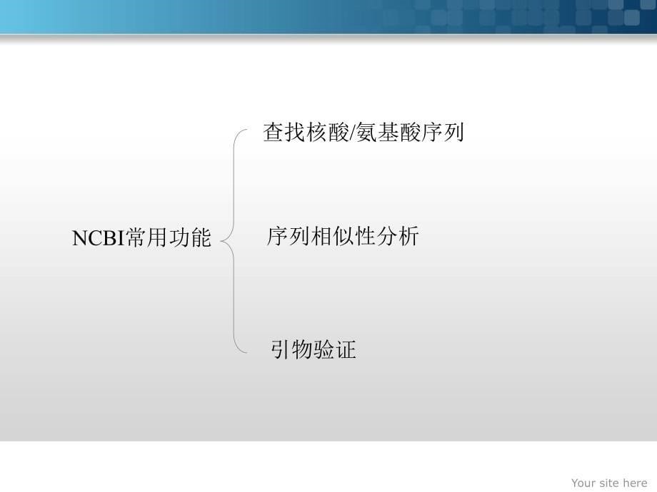 NCBI基本功能与引物设计课件.ppt_第5页