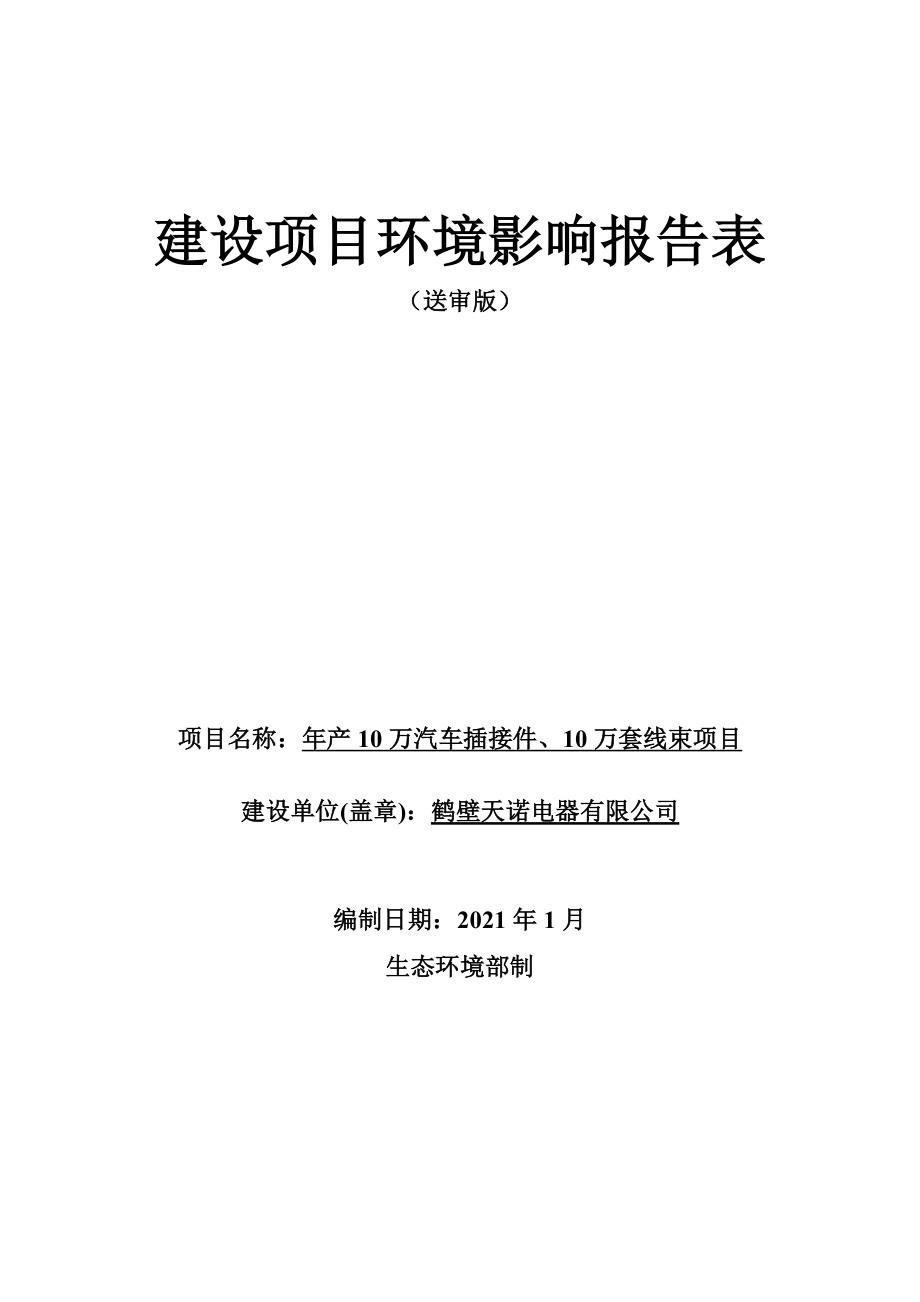 鹤壁天诺电器有限公司年产10万汽车插接件、10万套线束项目环境影响报告.doc_第1页