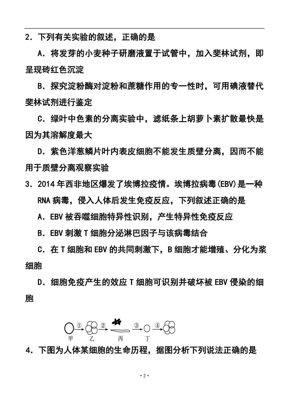 山东省青岛市高三统一质量检测理科综合试题 及答案_第2页