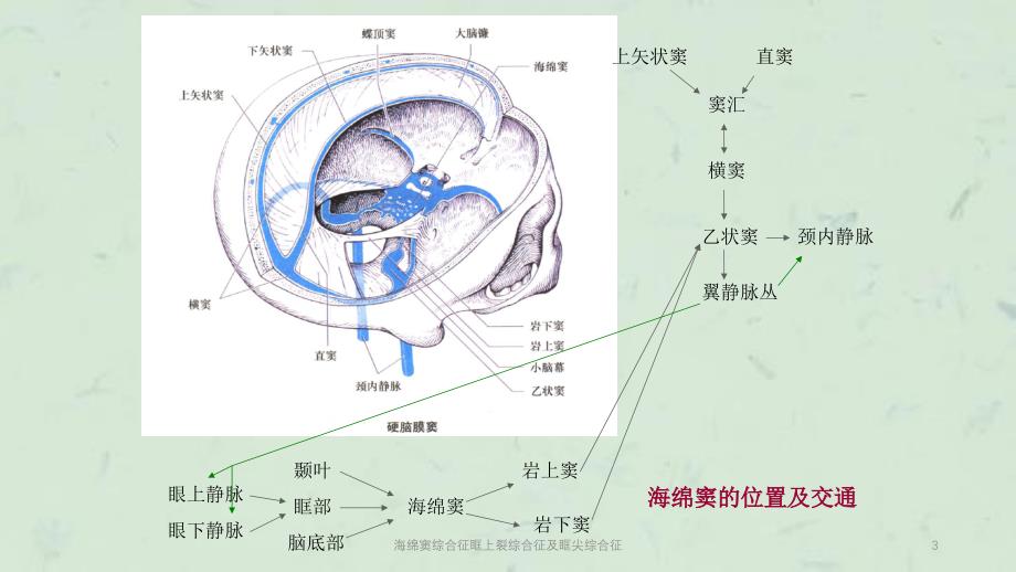 海绵窦综合征眶上裂综合征及眶尖综合征课件_第3页