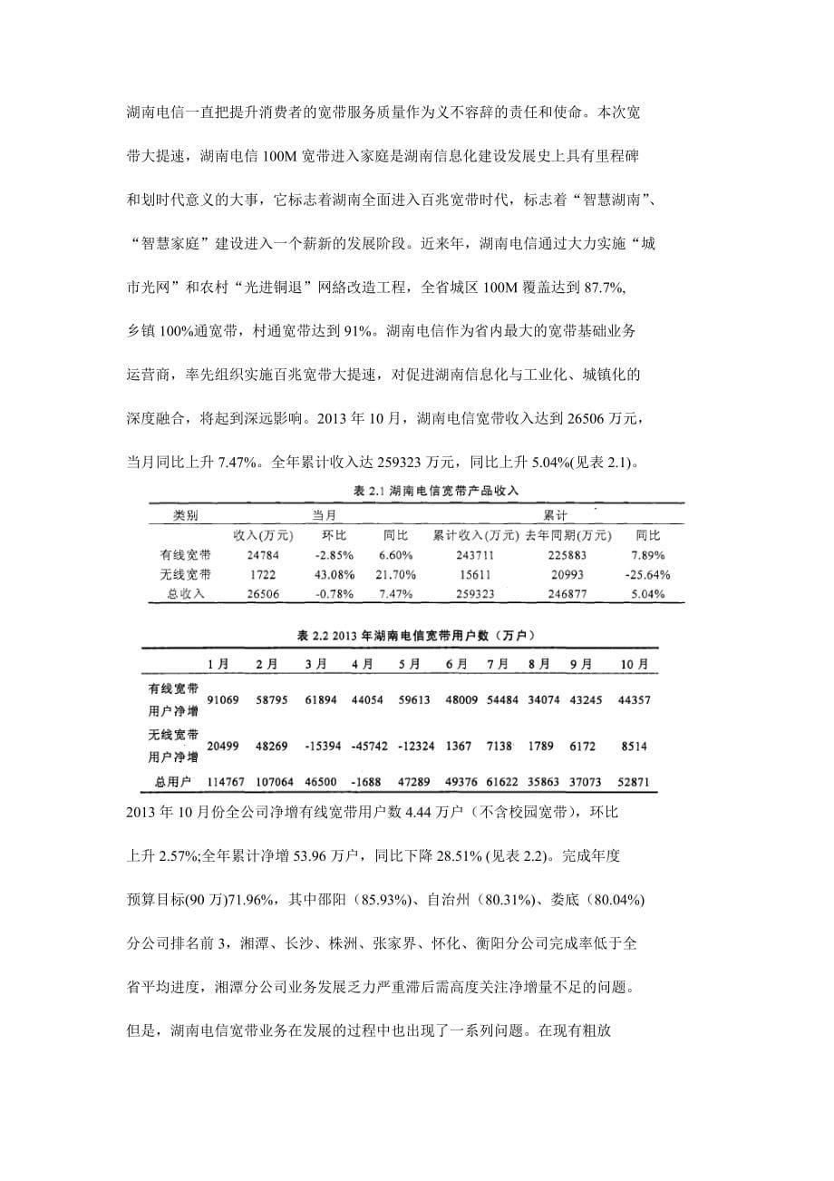 湖南电信宽带业务发展策略_第5页