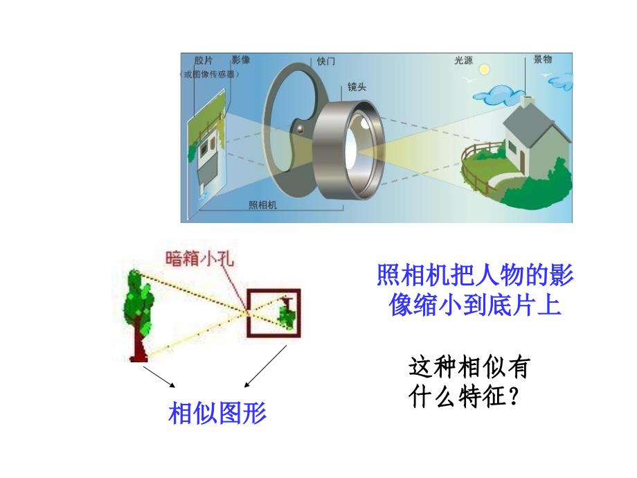 福建省闽清县天儒中学九年级数学下册 27.3 位似课件 （新版）新人教版_第3页