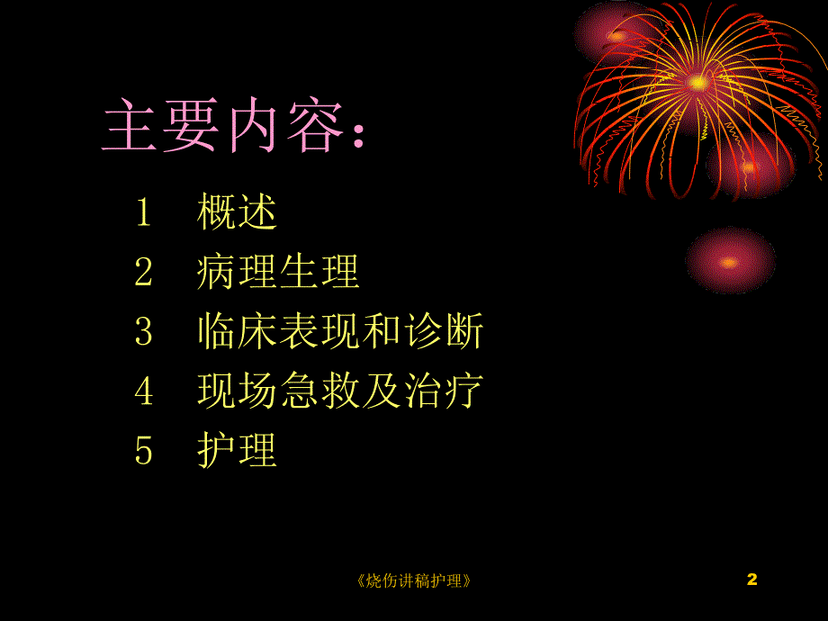 烧伤讲稿护理课件_第2页