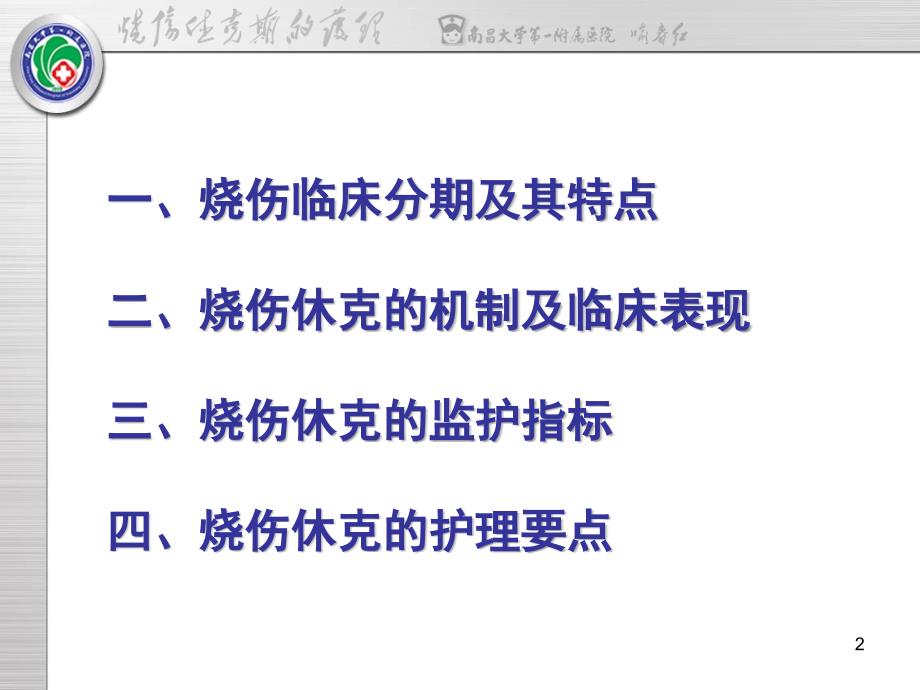 烧伤休克期的护理PPT幻灯片课件_第2页