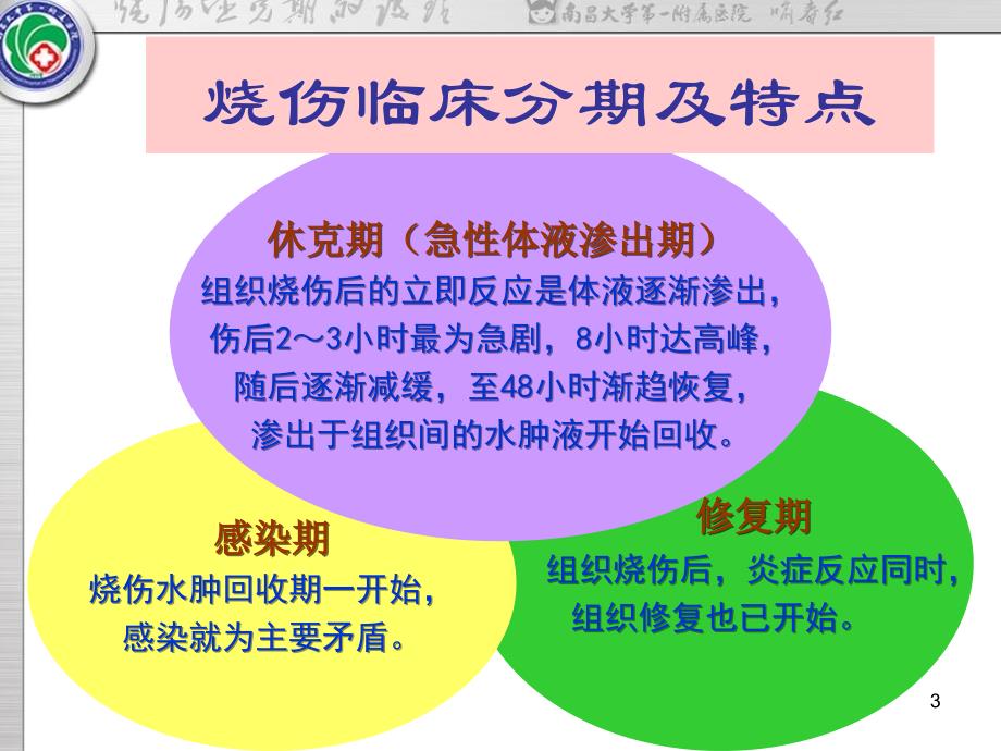 烧伤休克期的护理PPT幻灯片课件_第3页