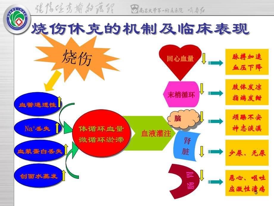 烧伤休克期的护理PPT幻灯片课件_第5页