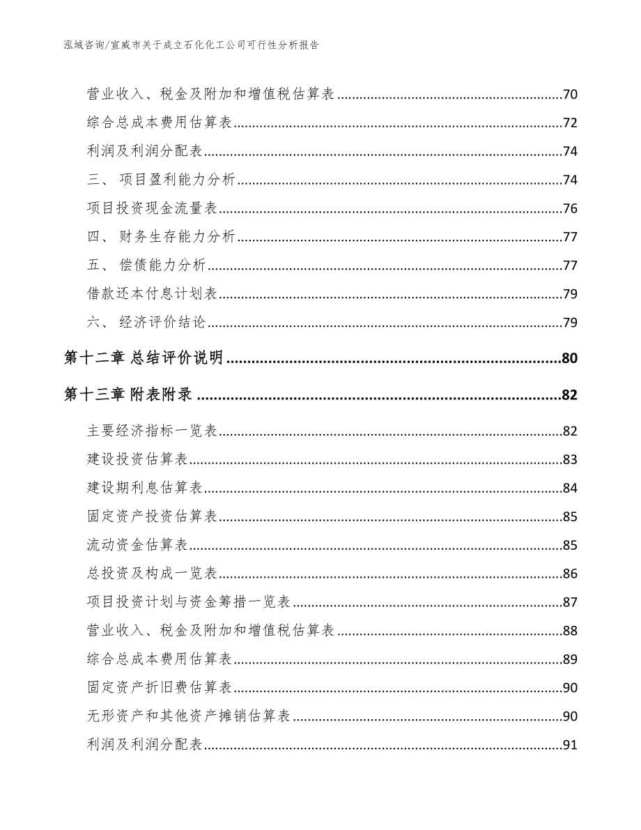 宣威市关于成立石化化工公司可行性分析报告_第5页