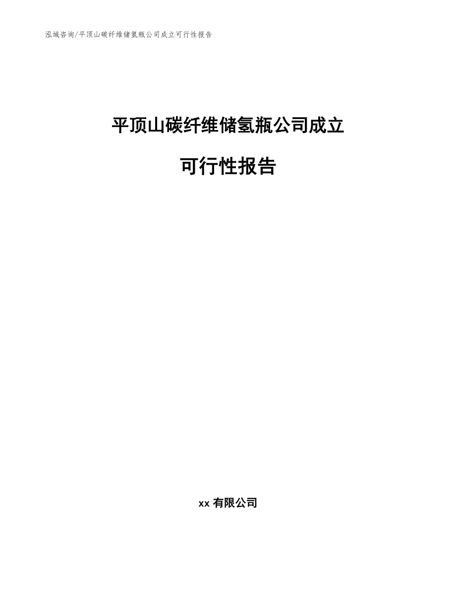 平顶山碳纤维储氢瓶公司成立可行性报告_范文参考_第1页