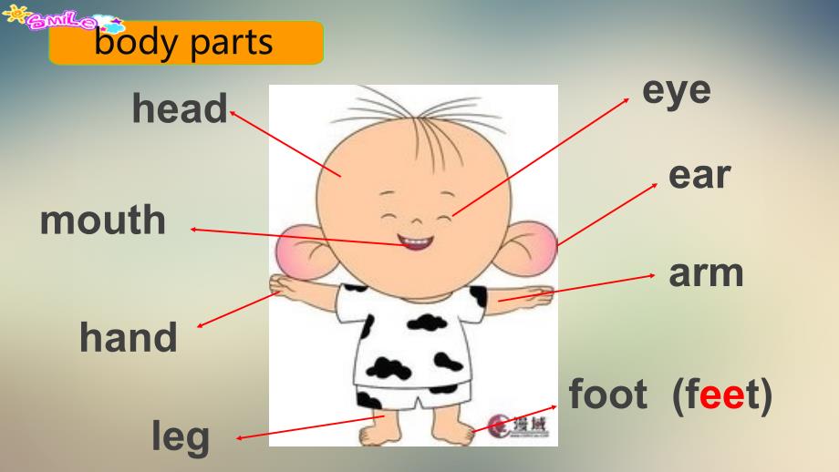 冀教版七年级英语上册Unit3Lesson13ppt课件_第4页