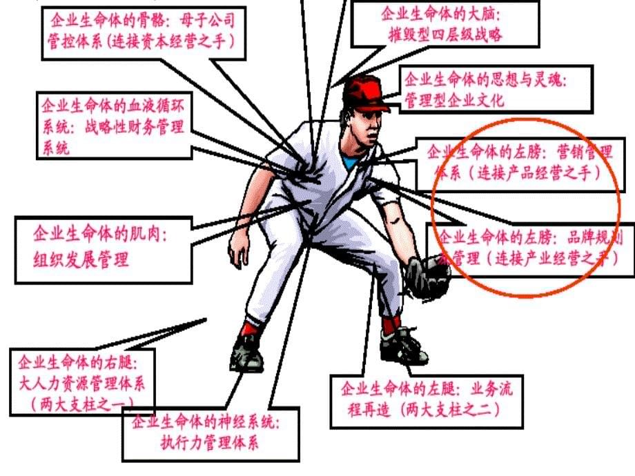 多元化集团公司母子公司管理控制_第5页