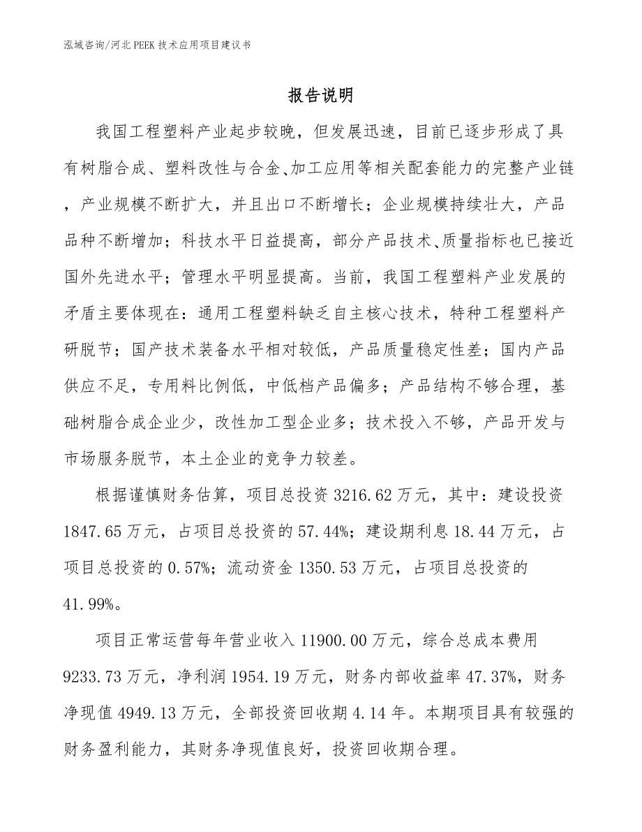 河北PEEK技术应用项目建议书_第2页