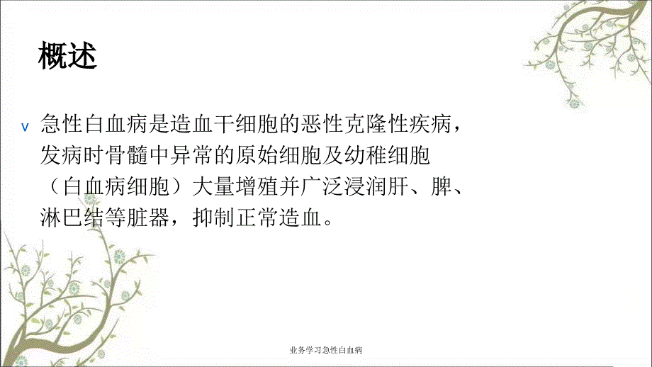 业务学习急性白血病_第3页