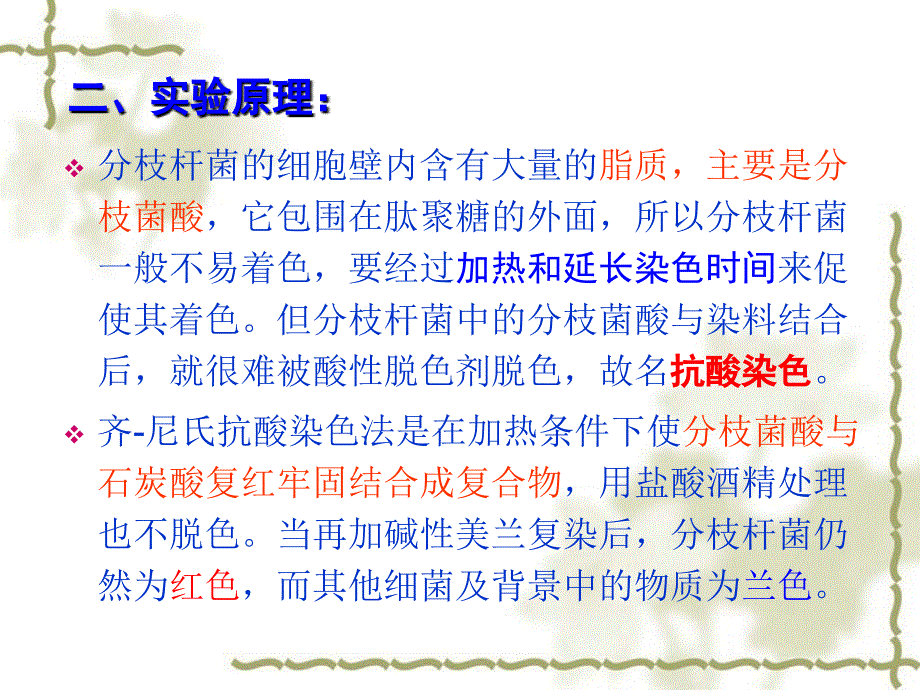 实验九抗酸染色PPT课件_第3页