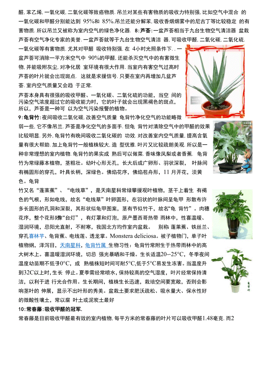 净化空气植物资料汇总_第2页