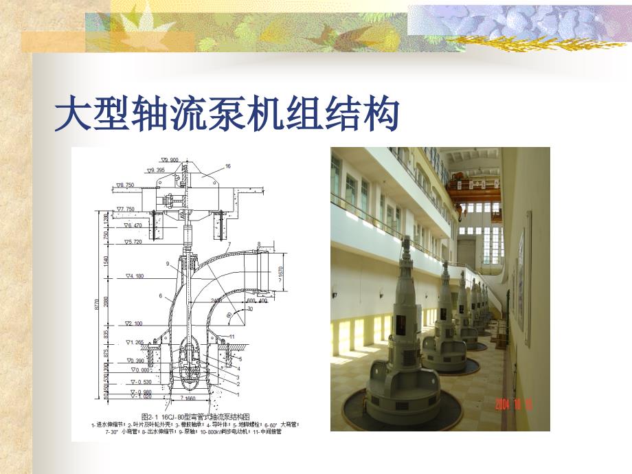 大型轴流水泵教学课件PPT_第1页