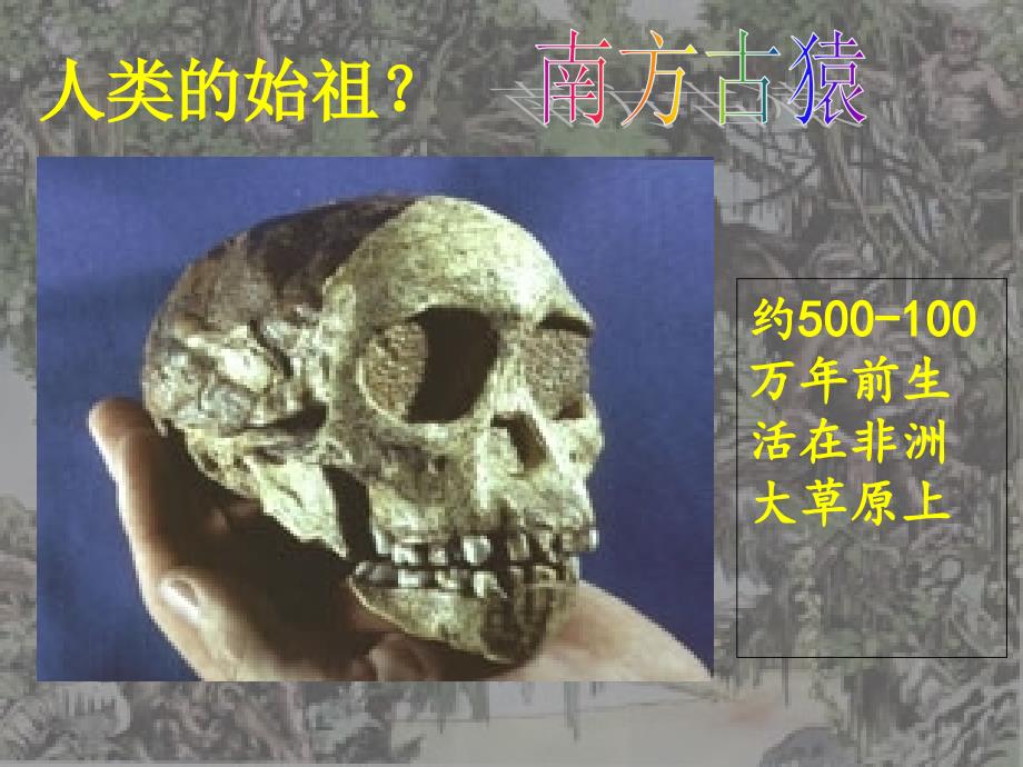 妈妈我是怎么来的_第4页