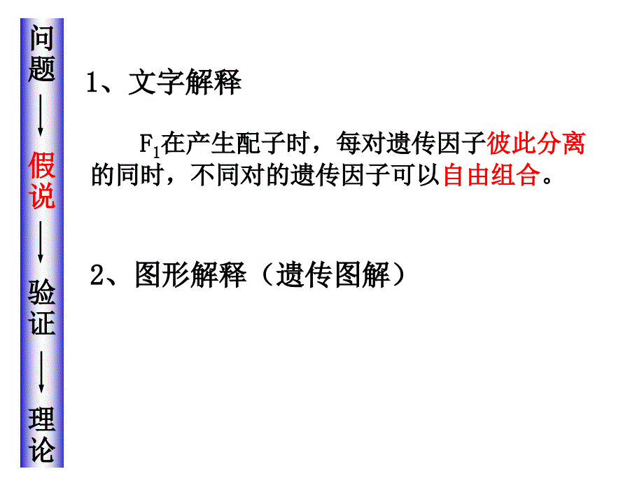 孟德尔杂交实验二_第4页