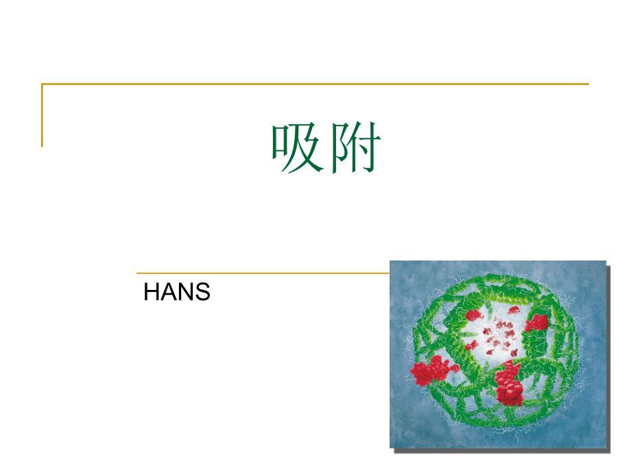 吸附原理及应用.ppt