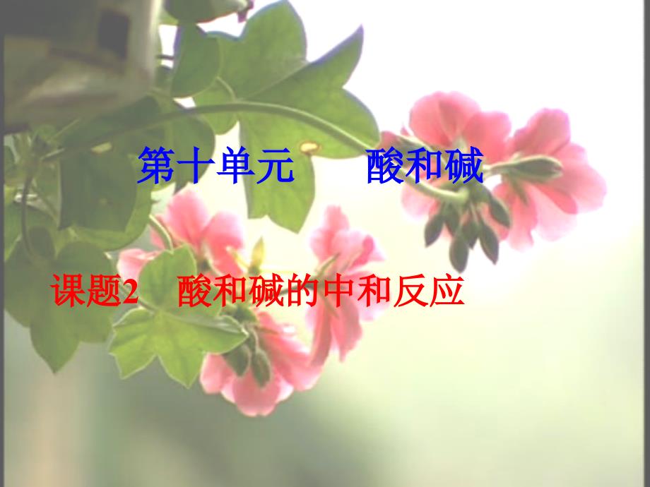 酸和碱的中和反应ppt.ppt_第1页