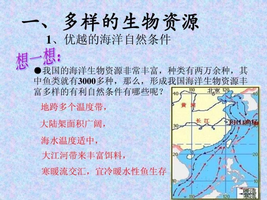 中国的海洋资源_第4页