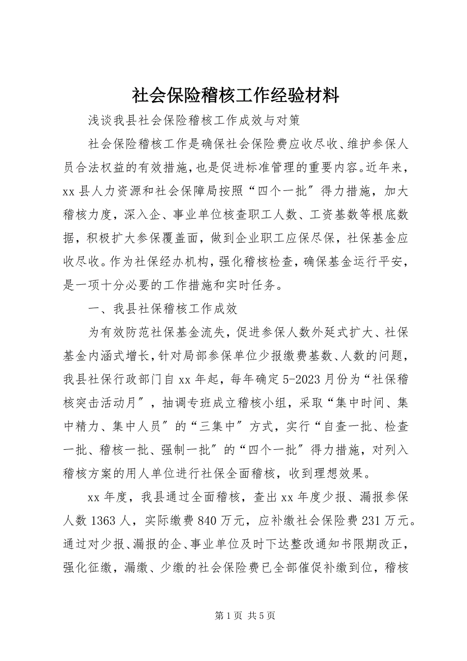 2023年社会保险稽核工作经验材料.docx_第1页