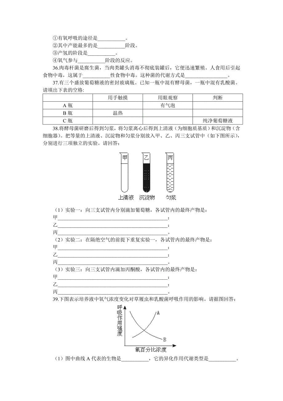 高考能力测试步步高生物基础训练8.doc_第5页