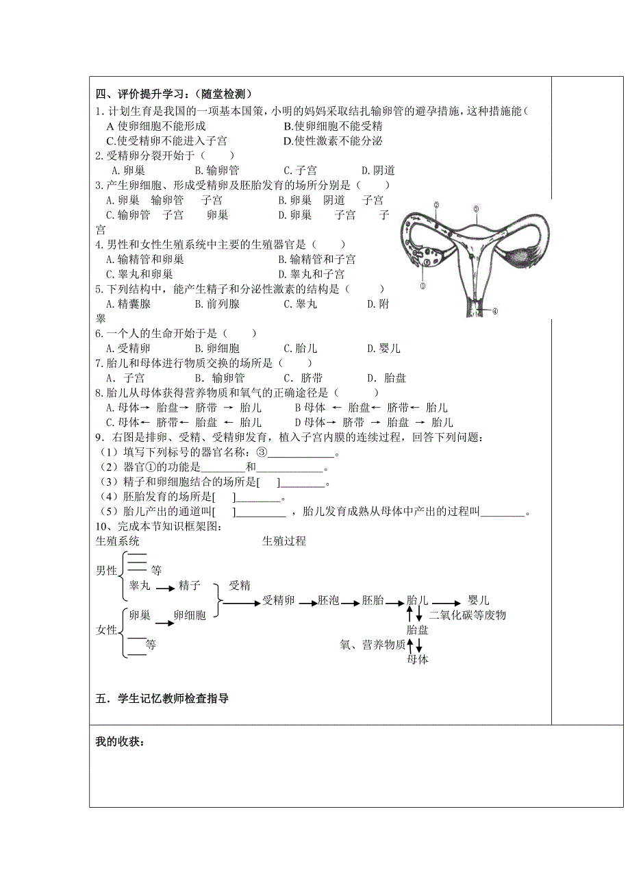 七年级生物导学案412人的生殖.doc_第2页