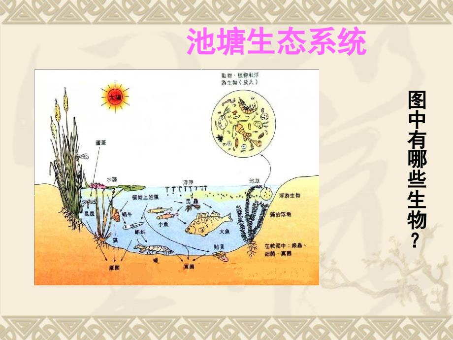 第三章生物群落的演替_第2页