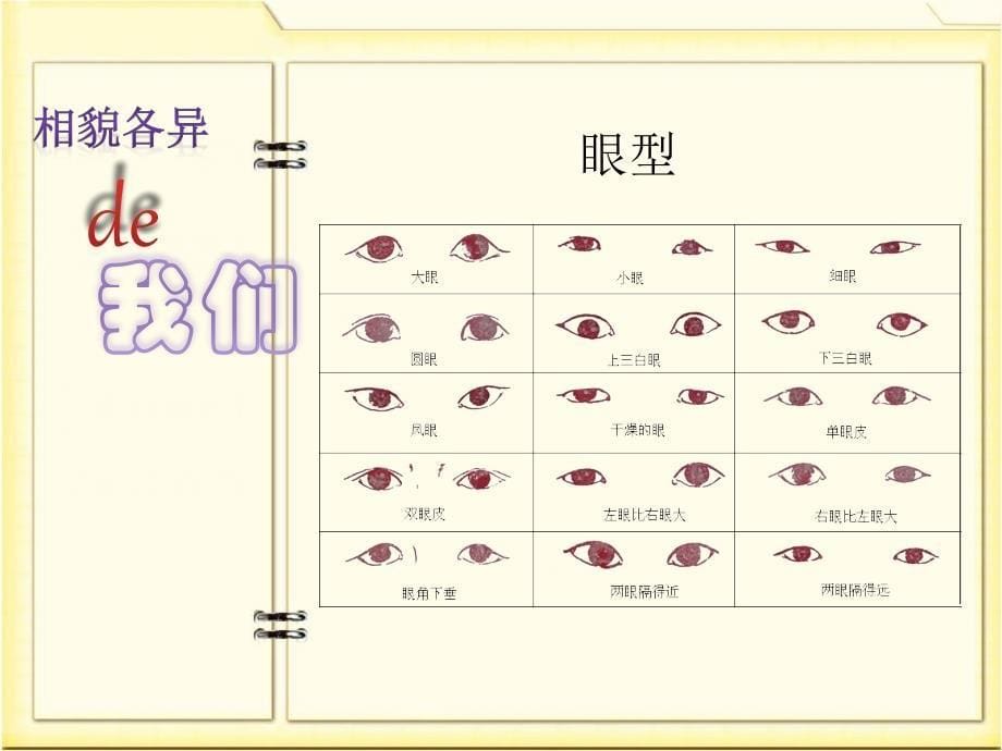 教科版小学六年级科学上册《相貌各异的我们》教学课件_第5页