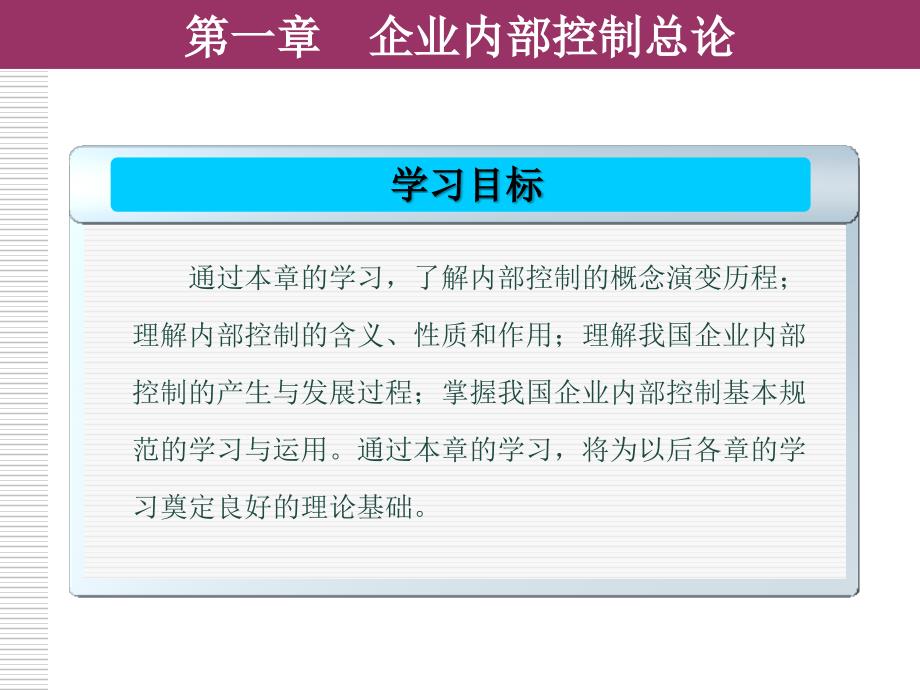 现代企业内部控制概论1_第3页